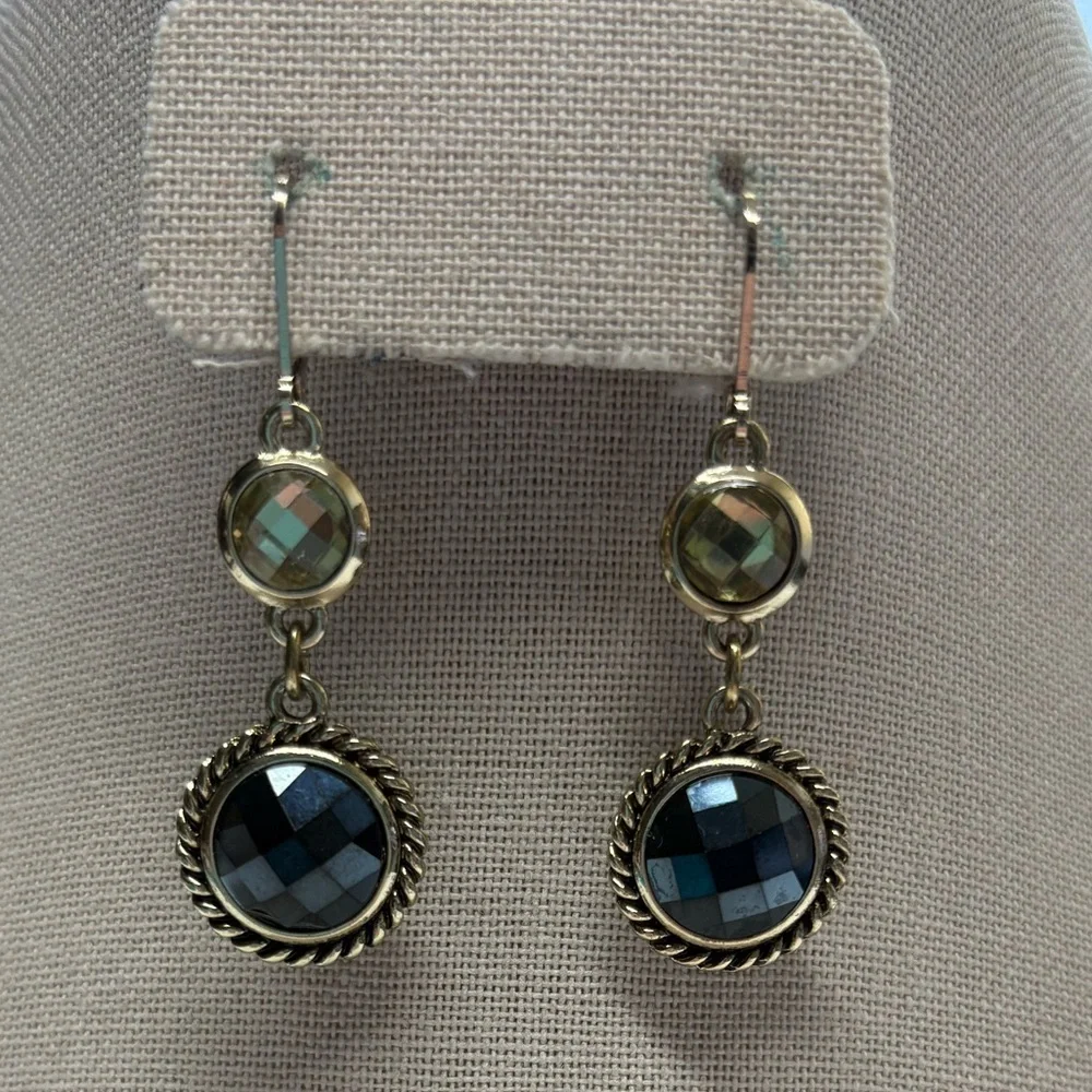 Elegant Drop Earrings #305